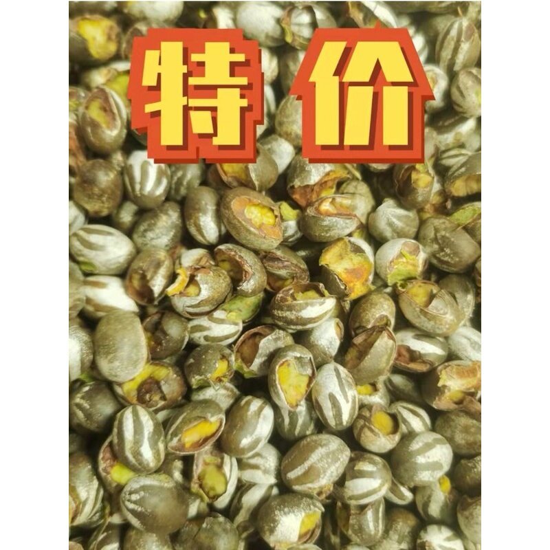 杨拉罐新鲜采摘破壳特价坦克虫仓鼠蜜袋鼯宠物零食冬钓鱼饵柳根鱼