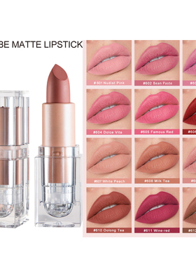 202512色哑光不易脱色裸色豆沙色小冰块口红matte nude lipstic