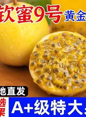 正宗广西黄金百香果纯甜钦蜜9号当季新鲜百香果水果现摘现发包邮