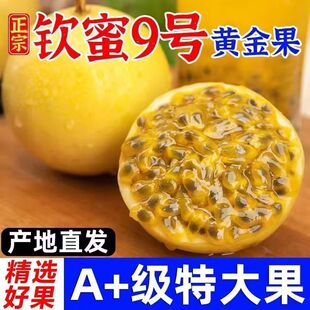 正宗广西黄金百香果纯甜钦蜜9号当季新鲜百香果水果现摘现发包邮