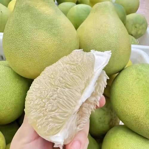 水晶柚冰糖药柚沙田柚金柚水果新鲜密柚白心土柚子小柚梅州特产