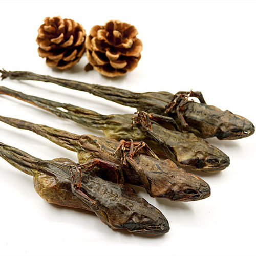 雪蛤干东北林蛙干雪蛤