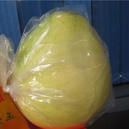 柚子保鲜袋 柚子包装蜜柚金柚红肉红心专用袋子沙田柚梅州三红柚