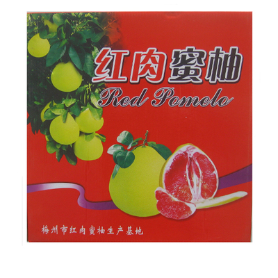 梅州沙田柚柚新鲜水果包邮