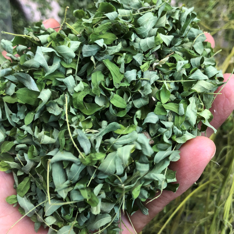 农家自晒 相思藤 中草药茶 相思叶藤 红眼鸡藤鸡眼籽藤纯叶子包邮