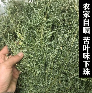 农家自晒 苦味叶下珠 珍珠草 叶下珠茶 新鲜干货 中药材500g包邮