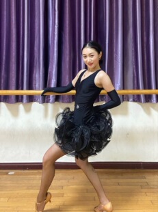 Pepe特惠款多层次网纱鱼骨连衣裙拉丁舞表演班服团体服