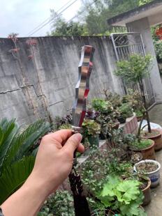 裁决之杖 怀念热血传奇 手办 不锈钢一体实心裁决之杖