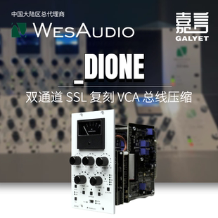 500系列立體聲VCA總線壓縮器 混合控制側鏈濾波器 DIONE WesAudio