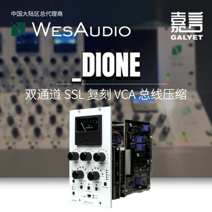 WesAudio 500系列立体声VCA总线压缩器 混合控制侧链滤波器 DIONE