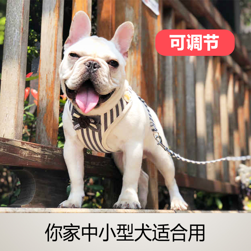 狗狗牵引绳法斗专用狗背心式可伸缩小型犬胸背带遛狗用品可爱狗绳