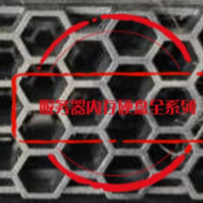 2600 V3 2800 V5  5210 V5 存储硬盘 02351HAM 02350WGK 10T SAS