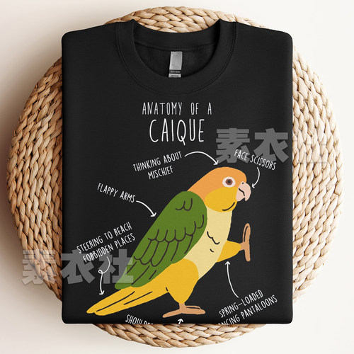 凯克鹦鹉CAIQUE卡通T恤纯棉