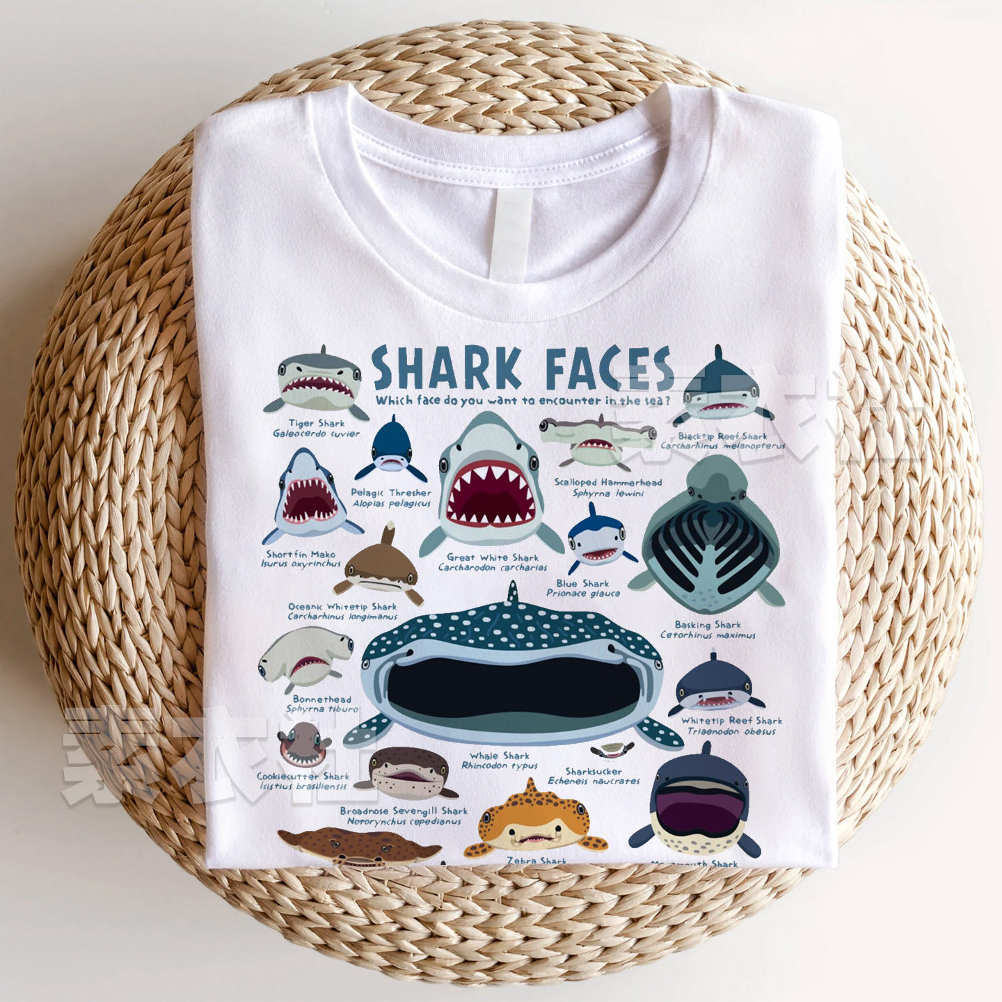 shark faces短袖海岛游生物学动物鱼类周边鲨鱼脸创意百搭T恤纯棉图片