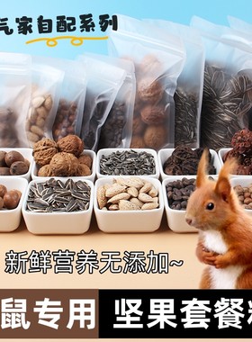 松鼠吃的自配粮生的坚果粮食主食食物饲料黄山磨牙营养套餐松子