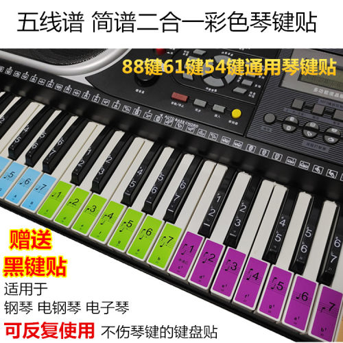 钢琴键盘贴88键61键54键电子琴手卷钢琴键音标贴键位贴五线谱简