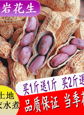 龙岩连城黄土地紫衣水煮花生湿烤白晒蒜香奶香炒货坚果零食熟散装