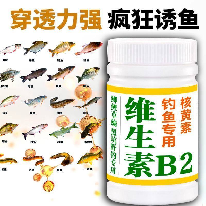 野钓正品便宜维生素B2鲫鲤鱼专用维生素b2钓鱼专用诱鱼剂开口粉