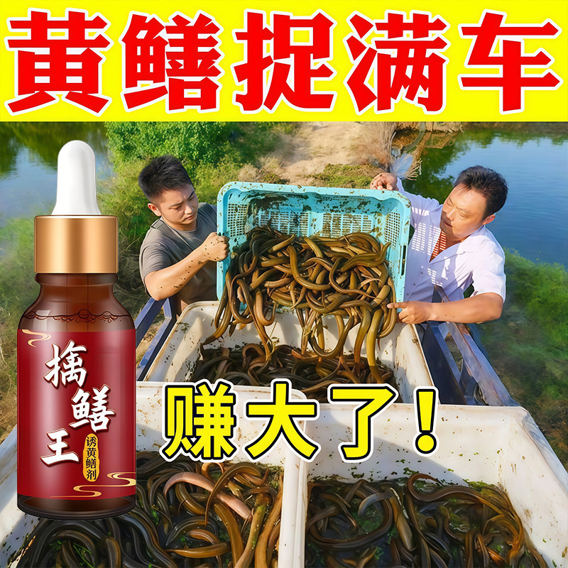 诱黄鳝小药【抓满笼】黄鳝诱食剂户外钓鳝鱼饵料野生黄鳝爆笼神器