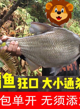 爆淼户外鳊鱼饵料大草鳊野钓黑坑