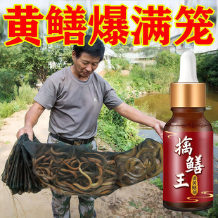 黄鳝小药强力擒鳝王秘制诱食剂钓鳝鱼饵料添加剂【稳定爆笼】专用