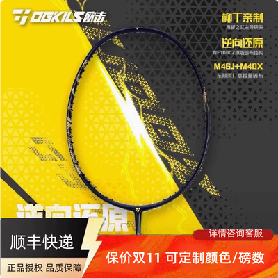 欧击柳丁LD1000z全碳素羽毛球拍