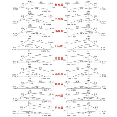 初学者练习册设计各种脸型画眉