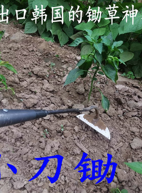 锄头除草专用刀锄小号轻巧加长柄农用小薅锄锄地家用松土工具神器