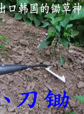 锄头除草专用刀锄小号轻巧加长柄农用小薅锄锄地家用松土工具神器