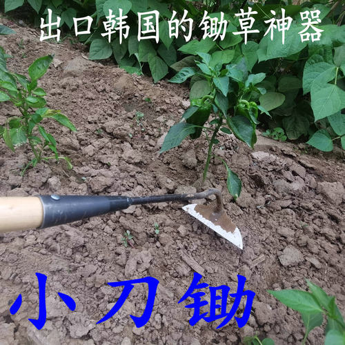 锄头除草专用刀锄小号轻巧加长柄农用小薅锄锄地家用松土工具神器