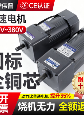 伟普调速电机6-400w可调无极变速 微型小型齿轮减速电机交流220v