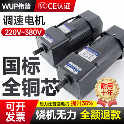 伟普调速电机6-400w无极微型