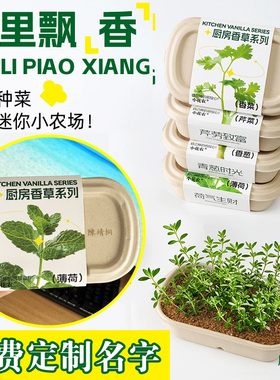 儿童蔬菜种植小盆栽种子幼儿园植物生长观察实验套装玩具伴手礼