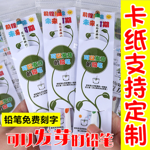 种子铅笔免费刻字发芽笔种植可以种的植物环保笔创意礼品铅笔定制