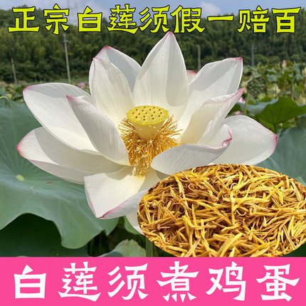 白莲须泡茶天然日晒无硫农家莲子须莲花蕊非中药材孕妇不是去胎毒