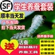 活体蚕卵籽种幼蚕12龄新鲜桑叶 蚕宝宝学生养蚕套装 顺丰当天发