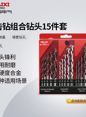 德力西电钻头冲击钻头 DDSP1 木工钻建工钻麻花钻金属组合15件套