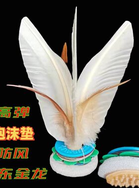 丹东金龙高弹泡沫防风成人比赛健身毽球儿童小学生鸡毛毽子大白毽