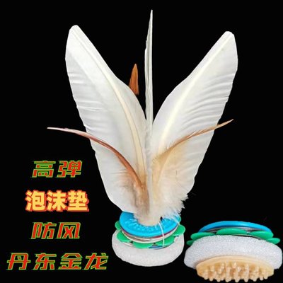 丹东金龙高弹静音防风成人毽球