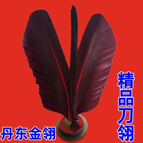 正品丹东金翎高级毽子比赛鸡毛