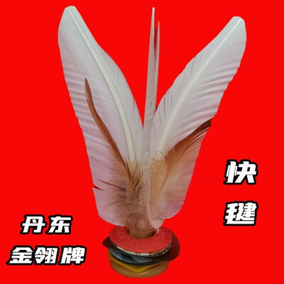 丹东金翎八大金刚毽子鸡毛大白