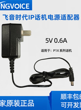 FLYING VOICE飞音时代话机专用电源适配器 适用于飞音IP话机 国标