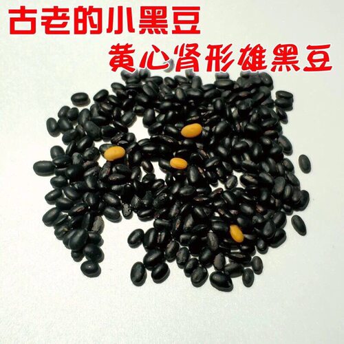 5斤农家小黑豆肾形黄芯雄黑豆豆浆豆芽黑豆粗杂粮