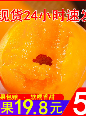 山东烟台杏子新鲜水果陕西大黄杏当应季整箱酸甜麦黄杏酸甜孕妇