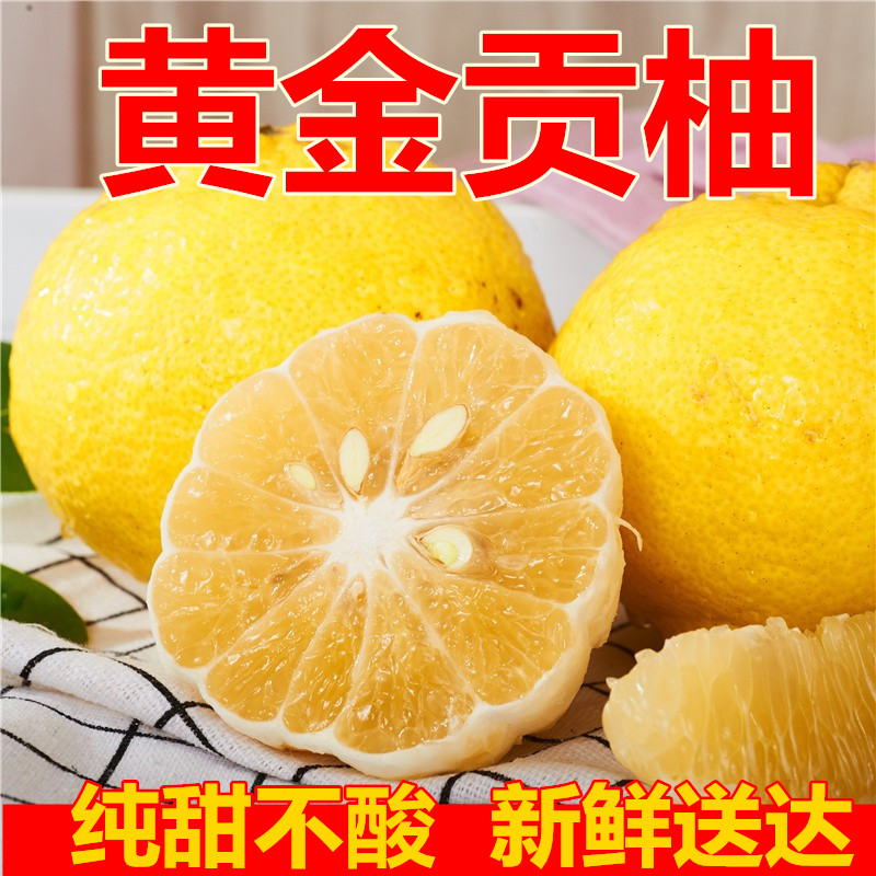 正宗湖南怀化黄金贡柚新鲜水果当季甜柚小柚子象山青甜柚春香桔柚