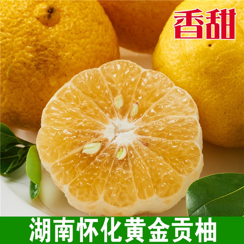 正宗湖南怀化黄金贡柚新鲜水果当季甜柚小柚子象山青甜柚春香桔柚
