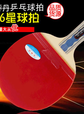 乔丹乒乓球拍一星二星三星四星五星六星大学生初学者训练兵乓单拍