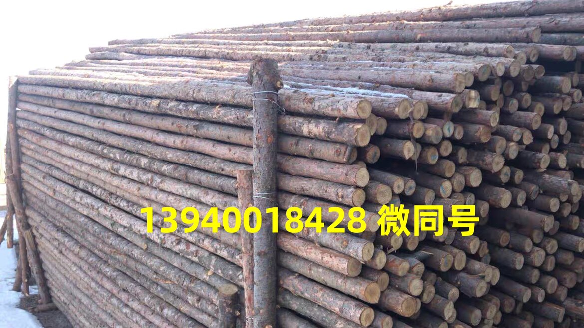 松木植树杆六米架杆装饰造型木材原木木桩木头圆木 木材加工 木柱