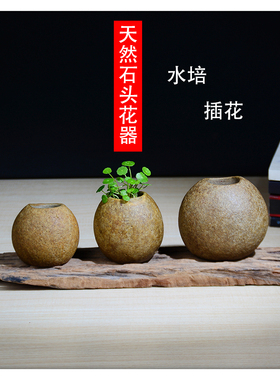 HQ002天然石头大化石大湾石铜钱草绿萝茶台水培插花花盆花器花瓶