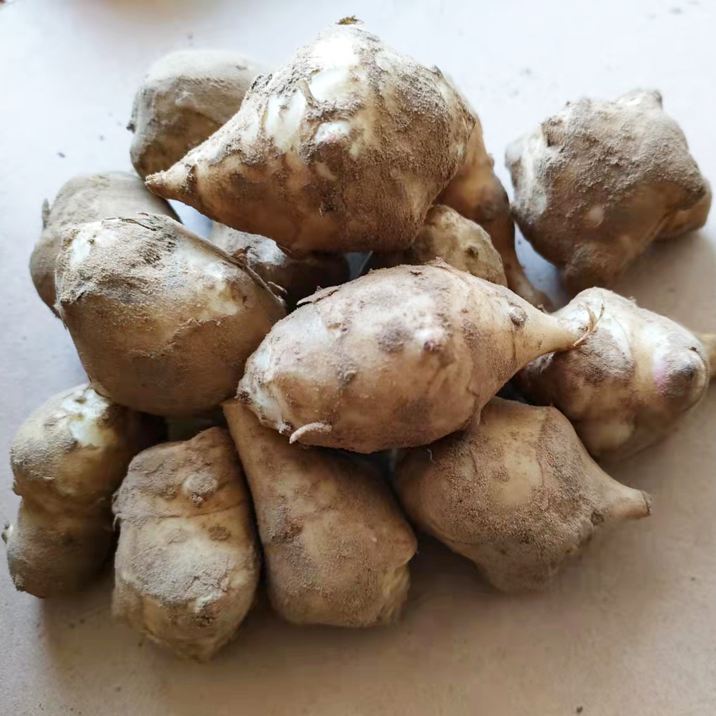 洋姜新鲜现挖野高原小个头菊芋